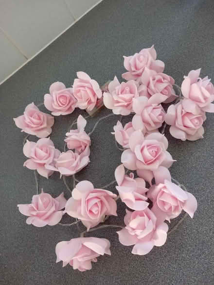 Photo of free Rose Fairy Lights (CT10) #1