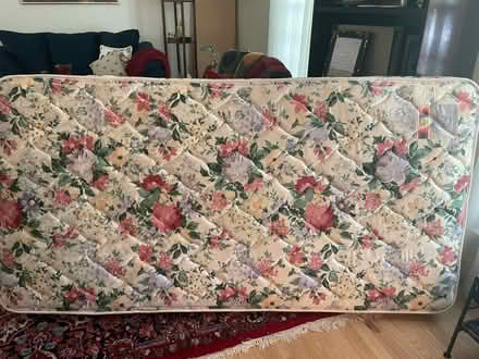 Photo of free Twin size single bed (Ellicott City near 29 and 103) #1