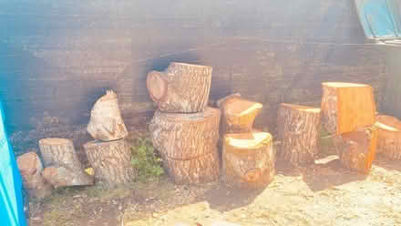 Photo of free Firewood (Woodacre, CA) #4
