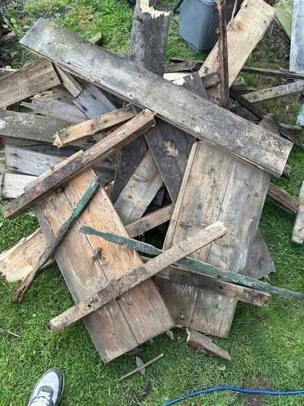 Photo of free Wood (Alva) #2