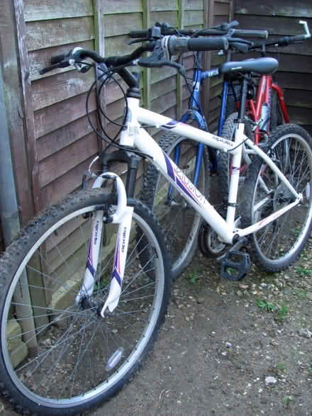 Photo of free 3 bikes (Swanton Morley NR20) #1