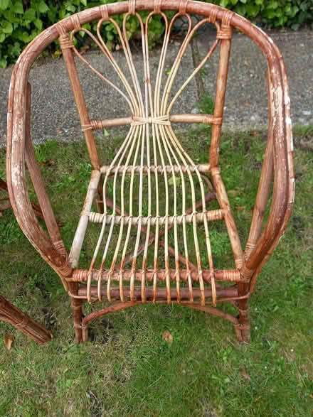 Photo of free 2 Wood/Cane Garden Chairs (Hitchin SG4) #1