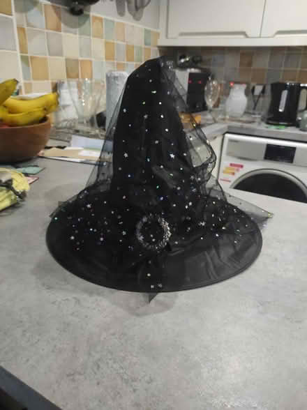 Photo of free Witch's Hat With Veil (CT10) #1