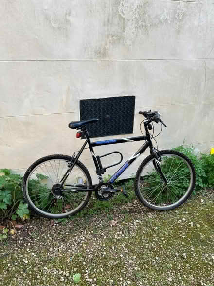 Photo of free Adult Bicycle (Cheltenham GL53) #1