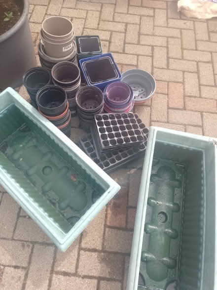 Photo of free Plant pots (Huntly AB54) #1