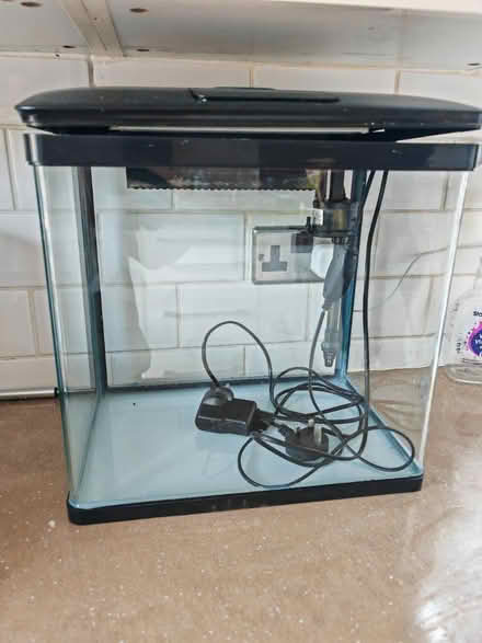 Photo of free Fish tank filtered (Greenwich) #1