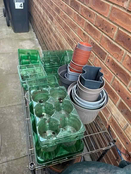 Photo of free Plastic plant pots (Hatfield) #1