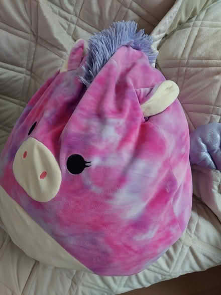 Photo of free purple pig squishy doll (palisades Park) #2