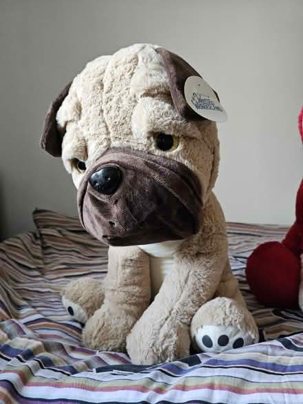 Photo of free 2 Teddy bears high apx 70cm×40cm (CR7) #1