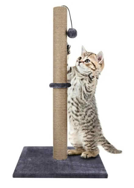Photo of Cat scratching post / Cat tree (Reading, RG30) #1