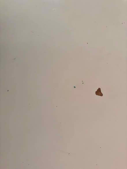 Photo of free Ikea Linnmon desk top some damage (Chiswick Ground W4) #1