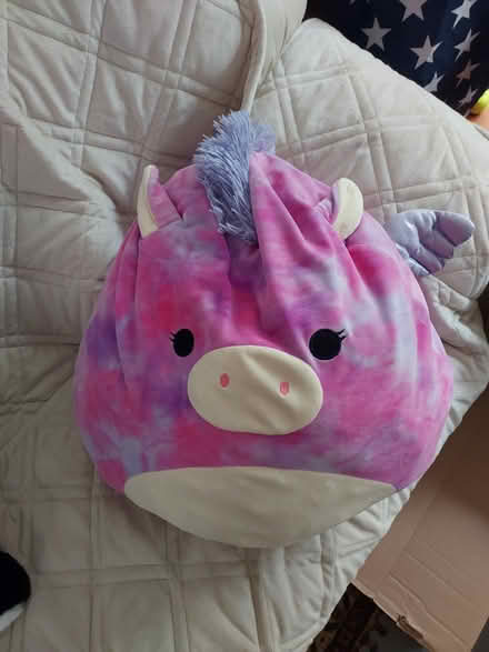 Photo of free purple pig squishy doll (palisades Park) #1