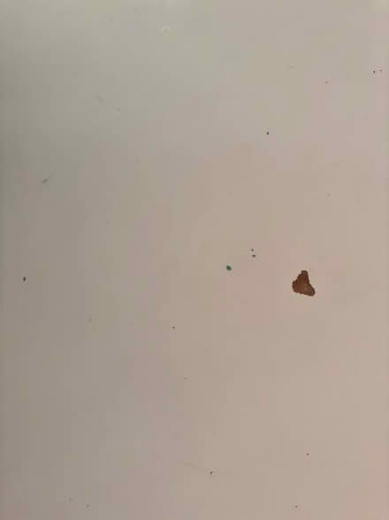 Photo of free IKEA linnmon desk top. Damaged (Chiswick Ground W4) #1