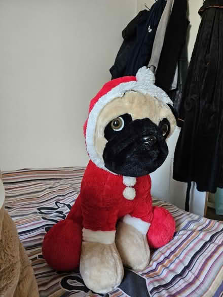 Photo of free 2 Teddy bears high apx 70cm×40cm (CR7) #2