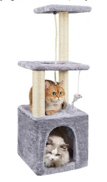 Photo of Cat scratching post / Cat tree (Reading, RG30) #2
