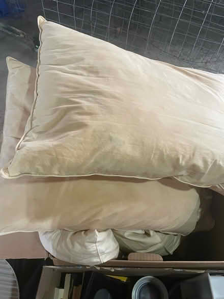 Photo of free Old down pillows (5) (Martinsburg, WV) #1