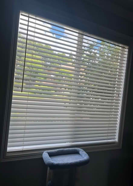 Photo of free White Faux wood blinds (East Roseville) #1