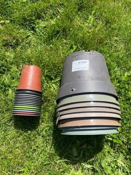 Photo of free Plant pots (ashford) #1