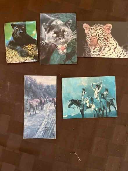 Photo of free Magnets (Santa Clara) #1