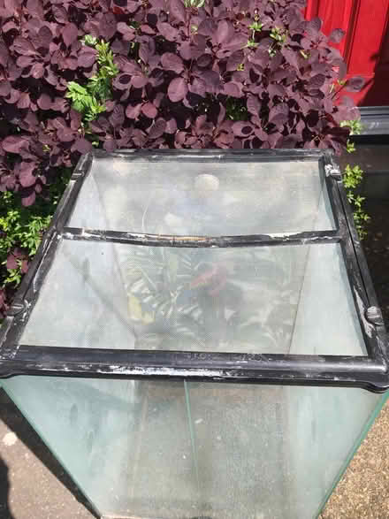 Photo of free Used large vivarium (Cell Barnes lane AL1) #2