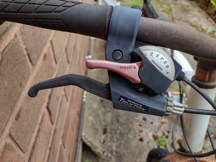 Photo of free Mens Bicycle (Yew Tree WS5) #3