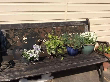 Photo of free Garden bench. (The Hythe CM9) #1