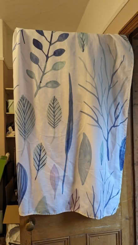 Photo of free Shower curtain (Nether Green S11) #2