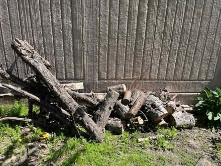 Photo of free wood from fruit tree (Mississauga. Mavis and Rathbur) #2