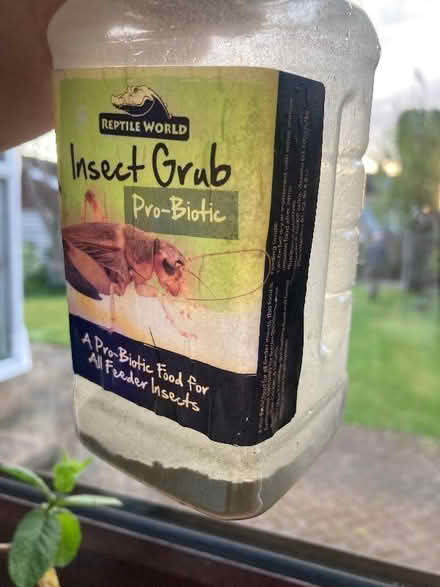 Photo of free Mealworms etc. (Pollokshields G41) #4