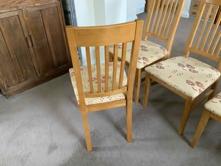 Photo of free Four dining chairs (TA3)