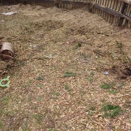 Photo of free Garden Bark Chippings (Paisley PA3 Near Asda)