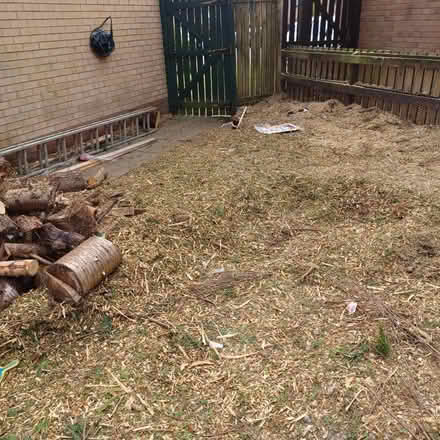 Photo of free Garden Bark Chippings (Paisley PA3 Near Asda)