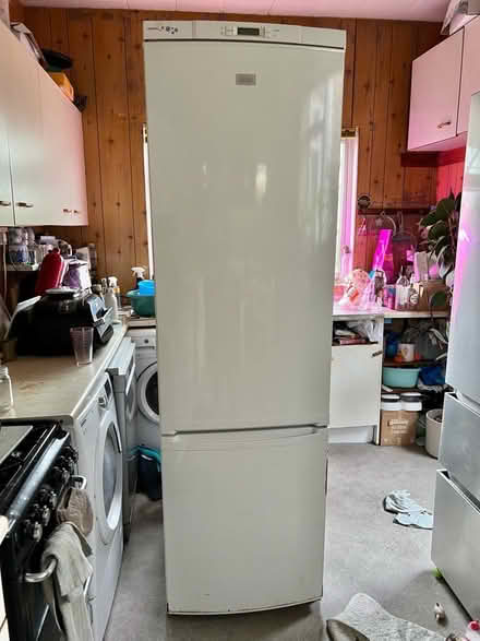 Photo of free Zanussi fridge freezer (Southsea PO4) #1