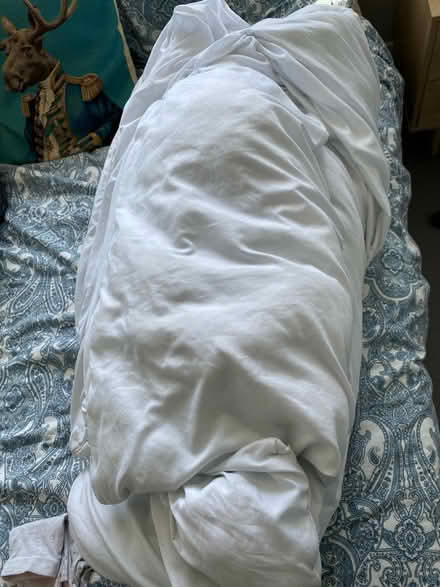 Photo of free King size Duvet (TW12, Hampton) #1