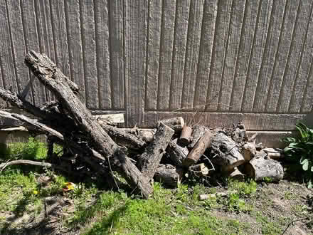 Photo of free wood from fruit tree (Mississauga. Mavis and Rathbur) #1
