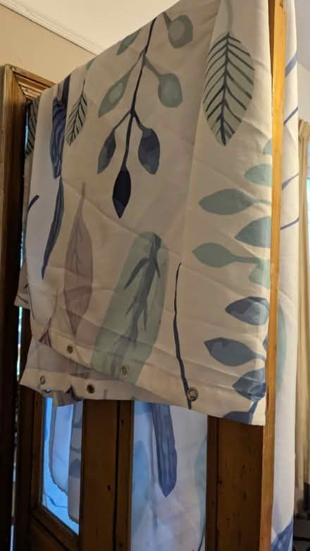 Photo of free Shower curtain (Nether Green S11) #1