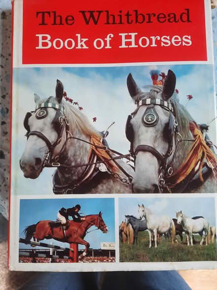 Photo of free Vintage books (Ashtead KT21) #3