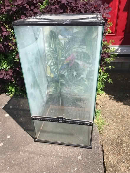 Photo of free Used large vivarium (Cell Barnes lane AL1) #1