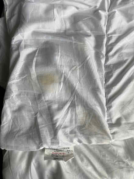 Photo of free Single duvet (Craigmillar Park EH16) #2