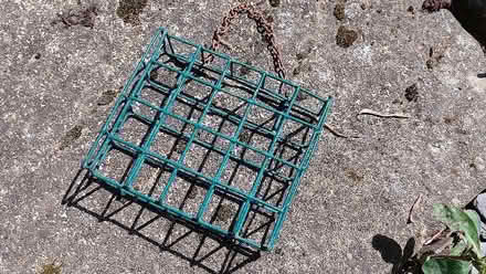 Photo of free bird feeders (Shenley Church End MK5) #3
