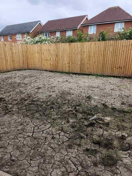 Photo of Garden Plants (Lostock Hall PR1) #1