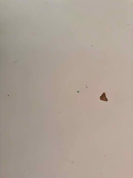 Photo of free Extra large Linnmon desk top by ikea (Chiswick Ground W4) #1