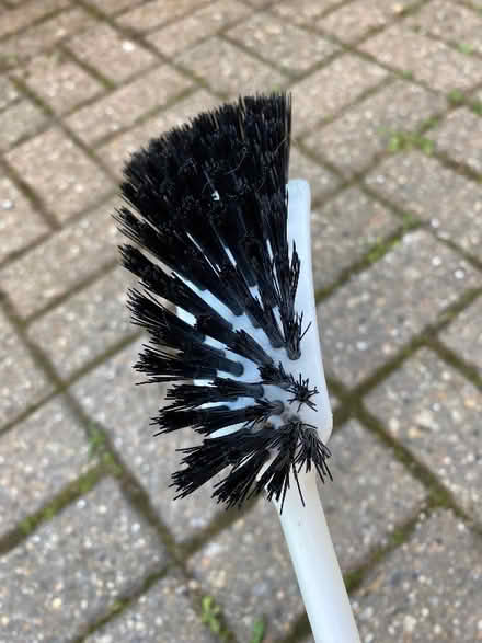 Photo of free Toilet Brush (ME9) #3