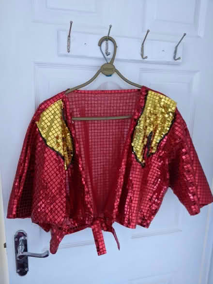 Photo of free Flame sequinned shrugs (Gilmerton EH17) #1