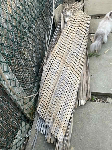 Photo of free Bamboo fence (Great billing Northamtpon) #1