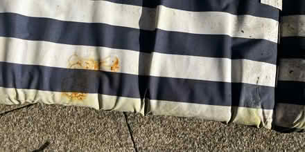 Photo of free Sun lounger cushion - TLC (HA8 / Edgware) #4