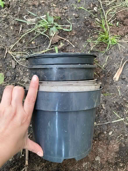 Photo of free Plant Pots (Acton W3 8) #2