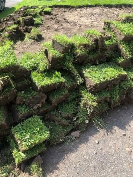 Photo of free Turf - Freshly Dug (CV9) #2