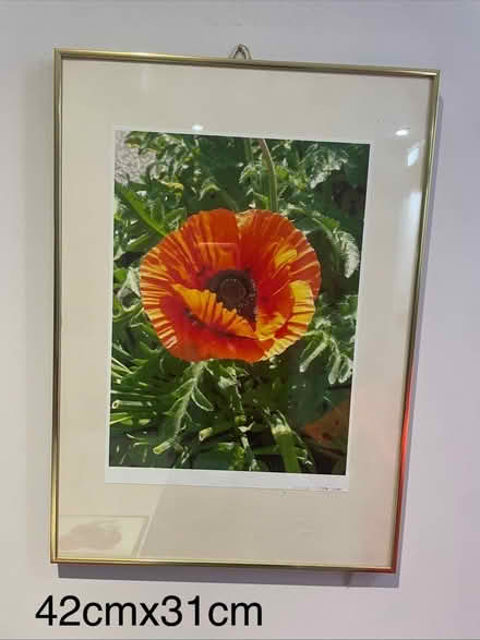 Photo of free photos in frames (SG12) #3