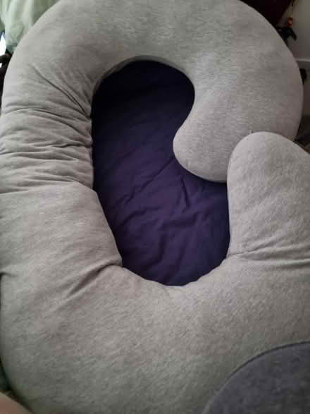 Photo of free Pregnancy pillow (EH6 Pillans Walk) #1